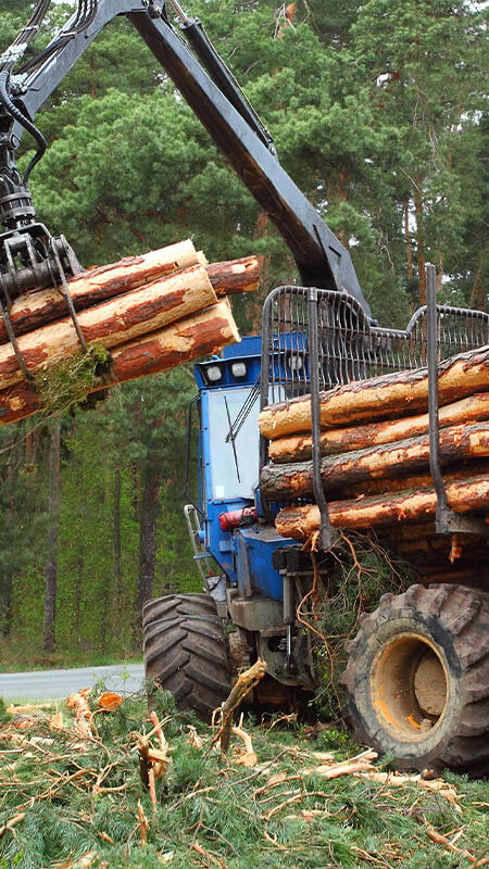 Forestry Equipment